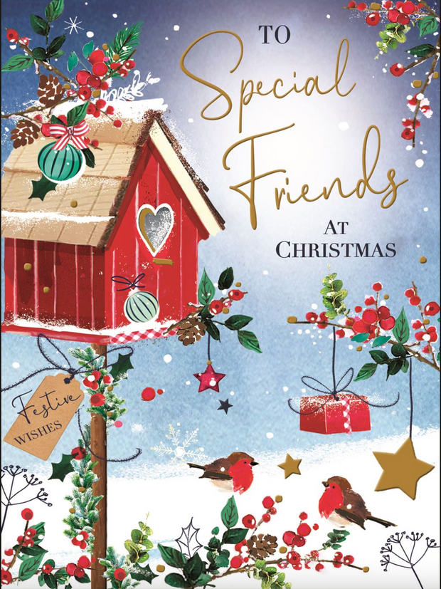 Jonny Javelin Special Friends Christmas Card**