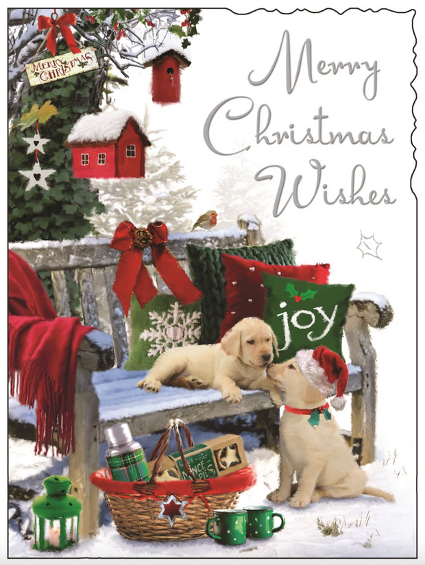 Jonny Javelin Wishes Open Christmas Card**