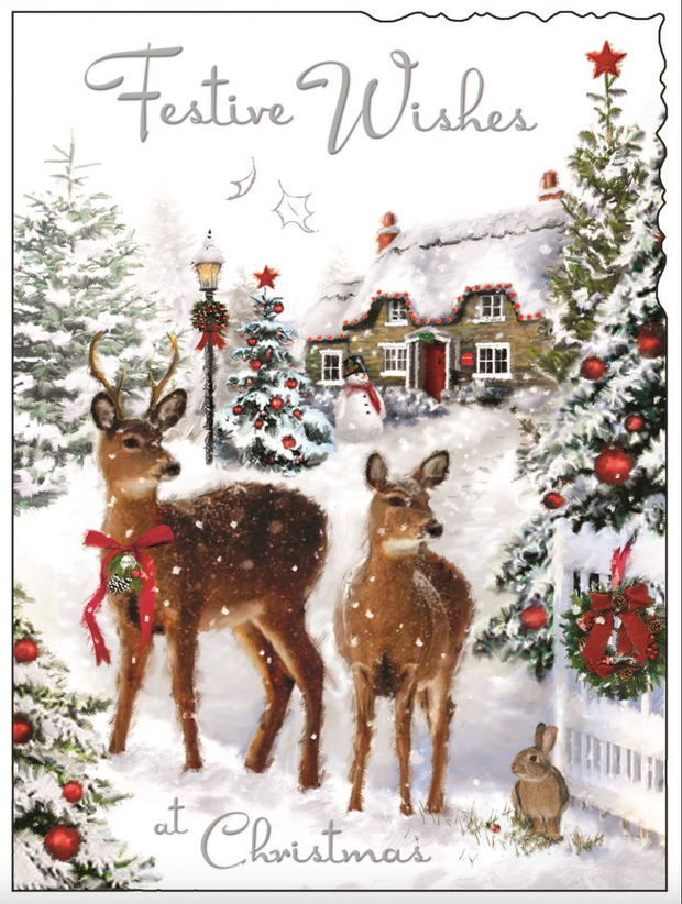 Jonny Javelin Wishes Open Christmas Card**