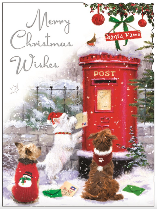 Jonny Javelin Wishes Open Christmas Card**