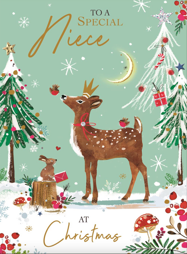 Jonny Javelin Niece Christmas Card**