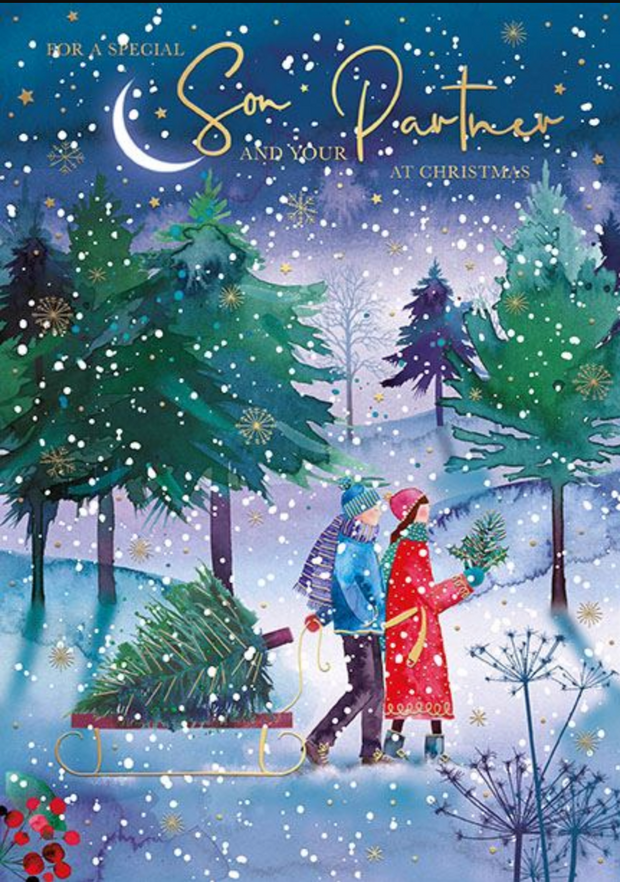 Words N Wishes Son & Partner Christmas Card**
