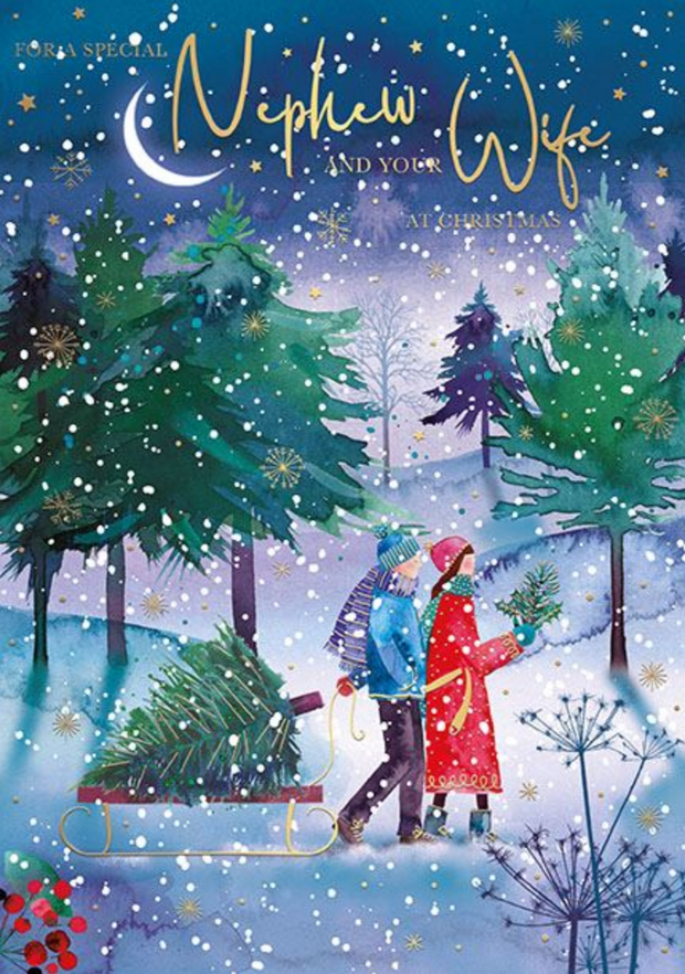 Words N Wishes Nephew & Wife Christmas Card**