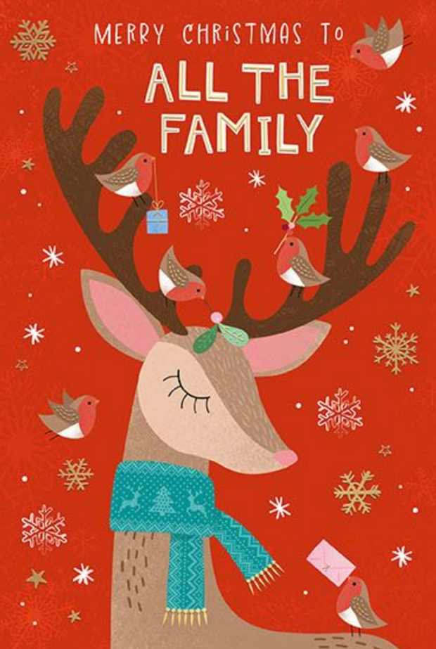 Words N Wishes All The Family Christmas Card**