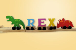 Ryan Town Coloured Wooden Alphabet Figures