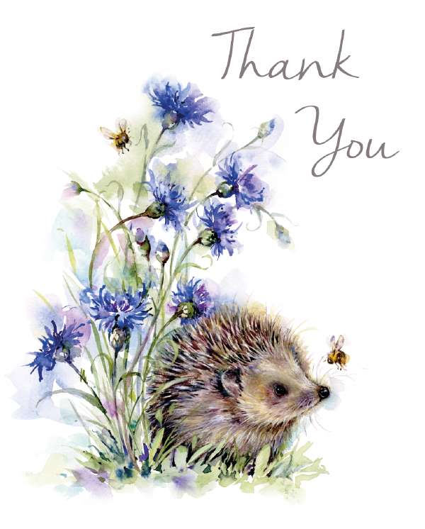 Noel Tatt Thank You Hedgehog Notelets pack of 4