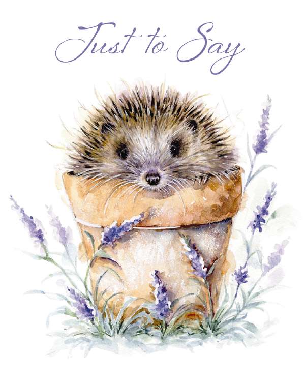 Noel Tatt Just to Say Hedgehog Notelets pack of 4