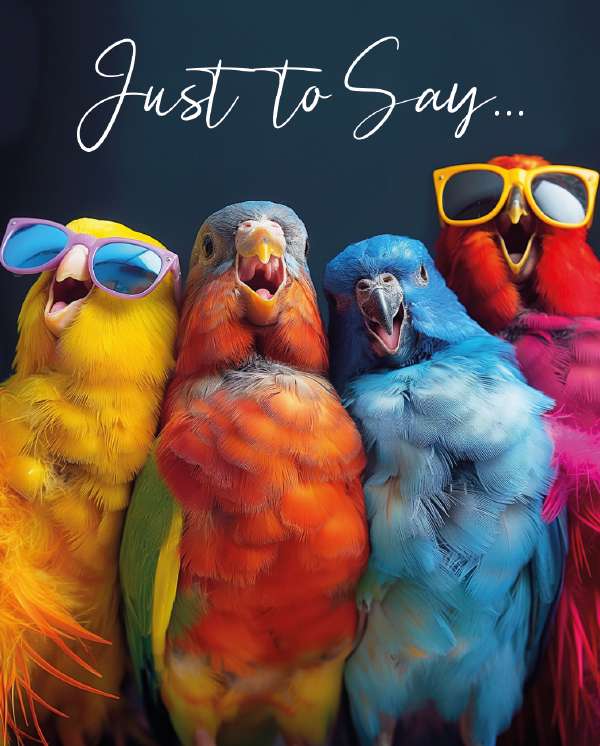 Noel Tatt Just to Say Birds Notelets pack of 4