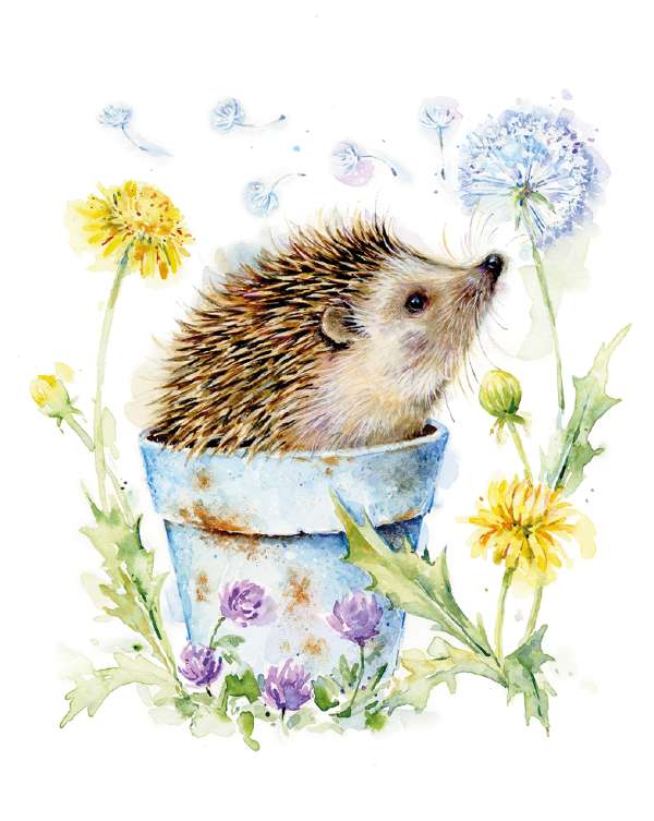 Noel Tatt Hedgehog Blank Notelets pack of 4