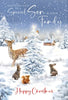 Cherry Orchard Son & Family Christmas Card