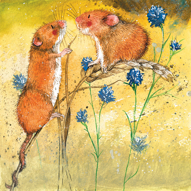 Alex Clark Harvest Mice blank card*