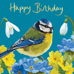 Sarah Kelleher Blue Tit Birthday Card*