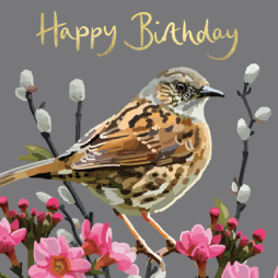 Sarah Kelleher Mistle Thrush Birthday Card*