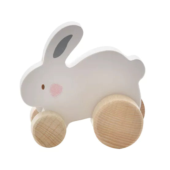 Bambino Wooden Toy Push Rabbit