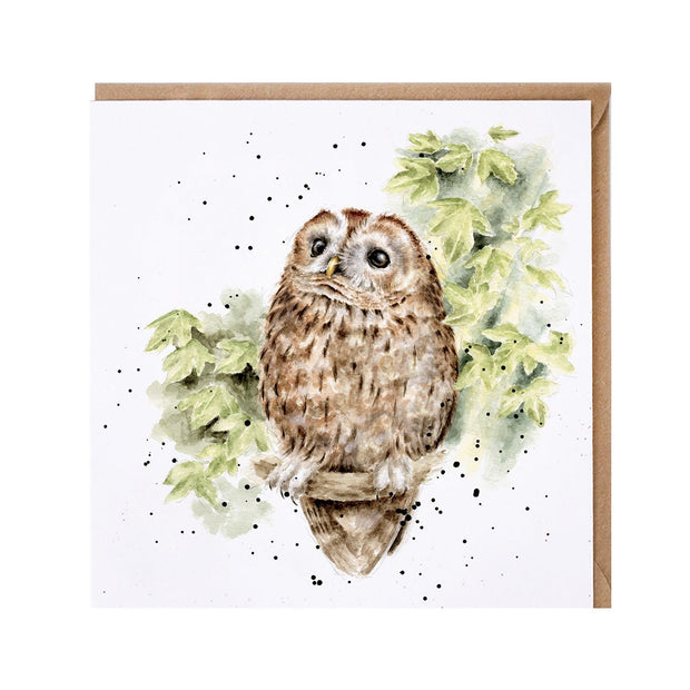 Wrendale "Treetops" Owl Blank Card*