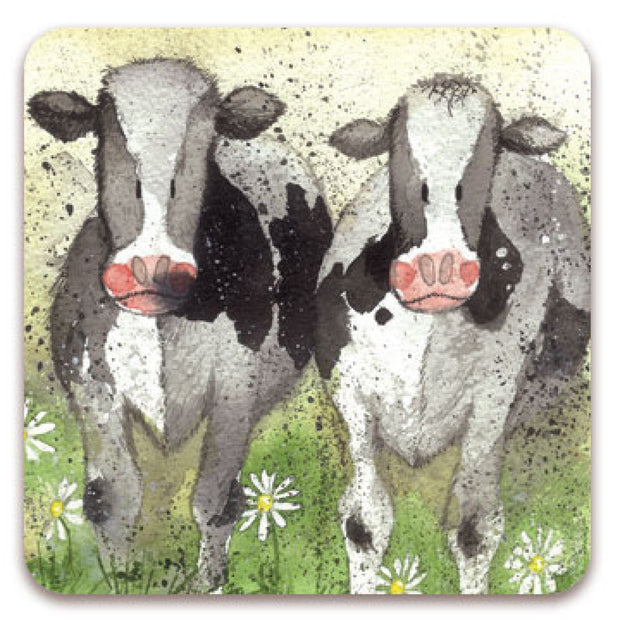 Alex Clark Curious Cows blank card*