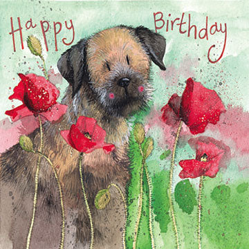 Alex Clark Border Terrier & Poppies Birthday Card*