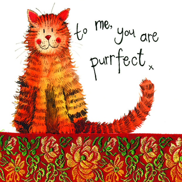 Alex Clark  Perfect Cat Ginger Cat Blank Card