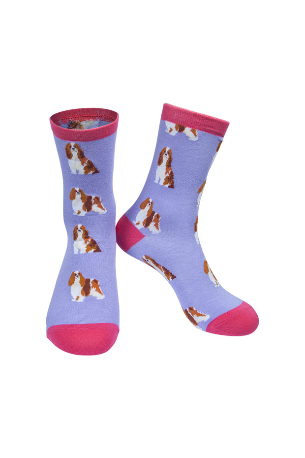 MSH Cavalier King Charles Spaniel Bamboo Socks