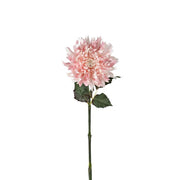 Dahlia Stem Light Pink