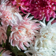 Dahlia Stem Light Pink