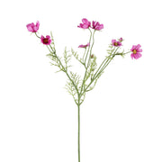 Cosmos Spray Pink