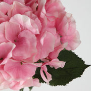 Hydrangea Stem Pink