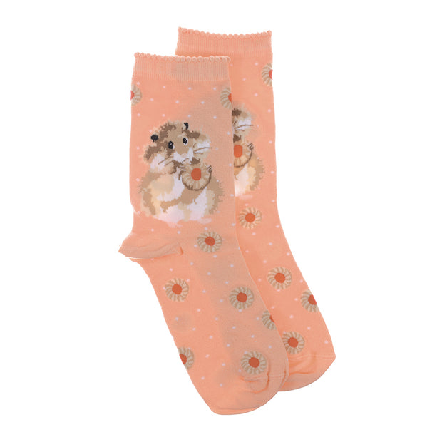 Wrendale "Diet Starts Tomorrow" Hamster Socks