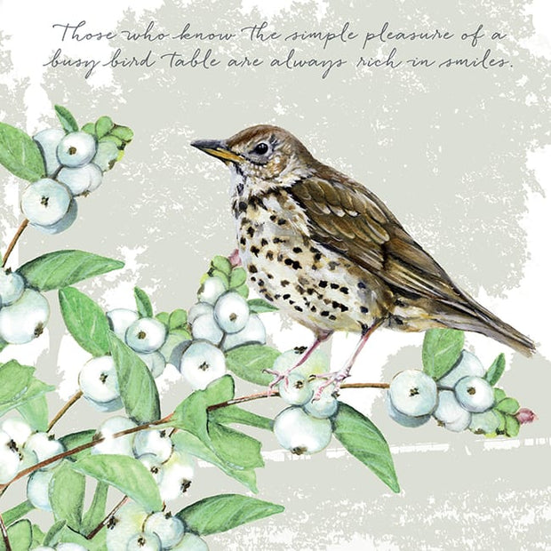Little Dog Laughed Song Thrush Blank Card