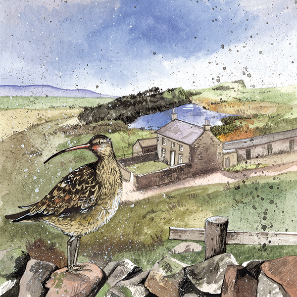 Alex Clark Curlew's Rest Farmhouse Blank Card