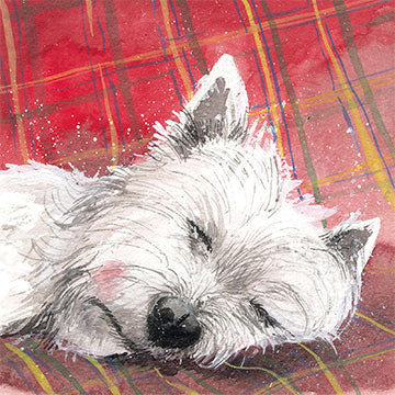 Alex Clark Tartan Rug blank card*